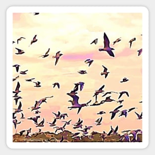 Birds flying in the sky, 1, bird, birds, seagull, seagulls, swan, waterfowl, swan, sky, freedom, summer, spring, Magnet